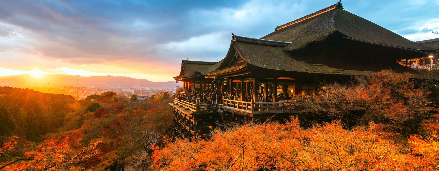 kyoto daily tours